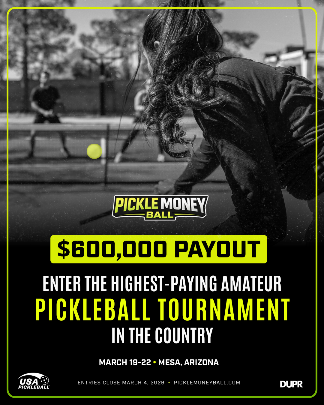 Pickle Money Ball Pickle Money Ball