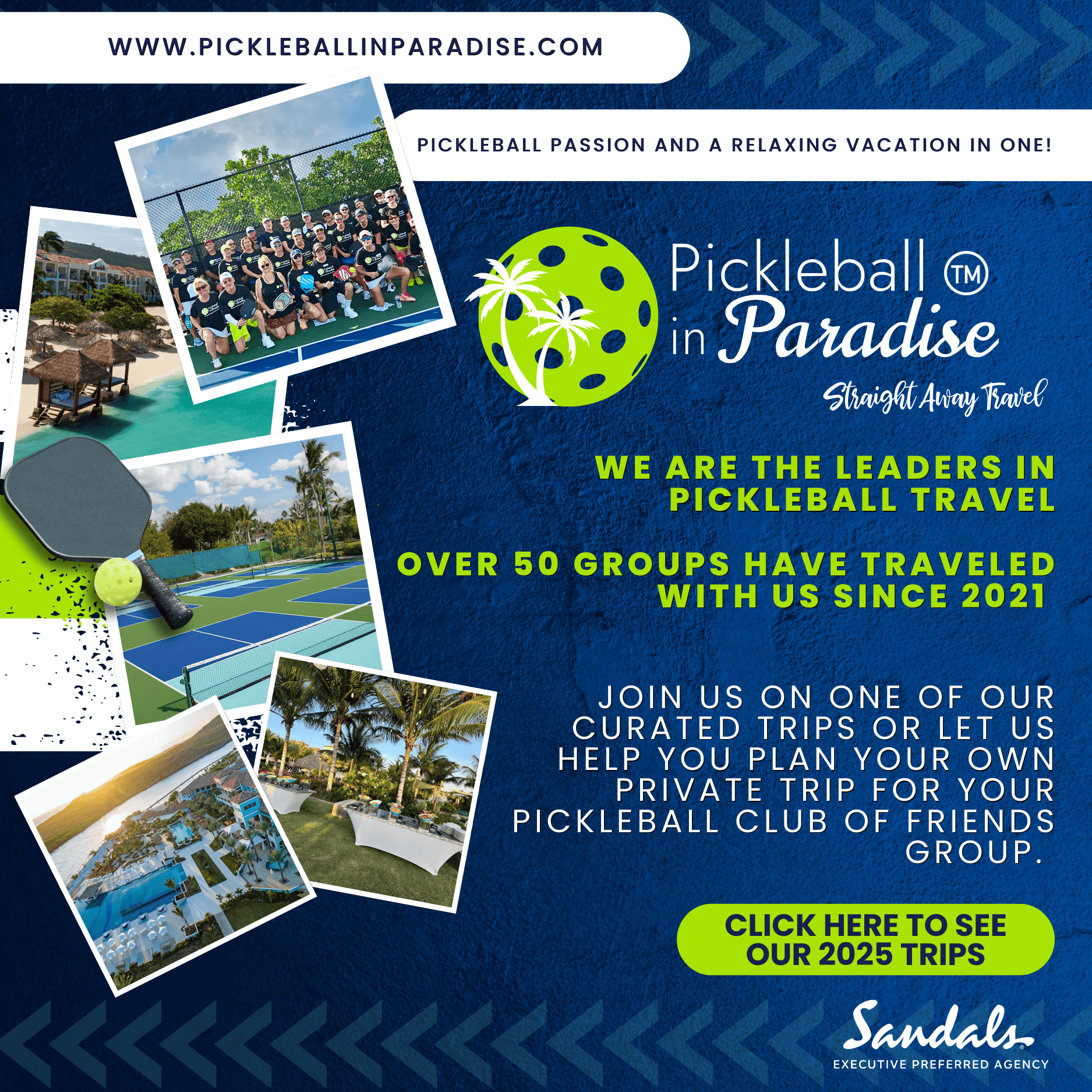 Pickleball-Ad-PIP.png